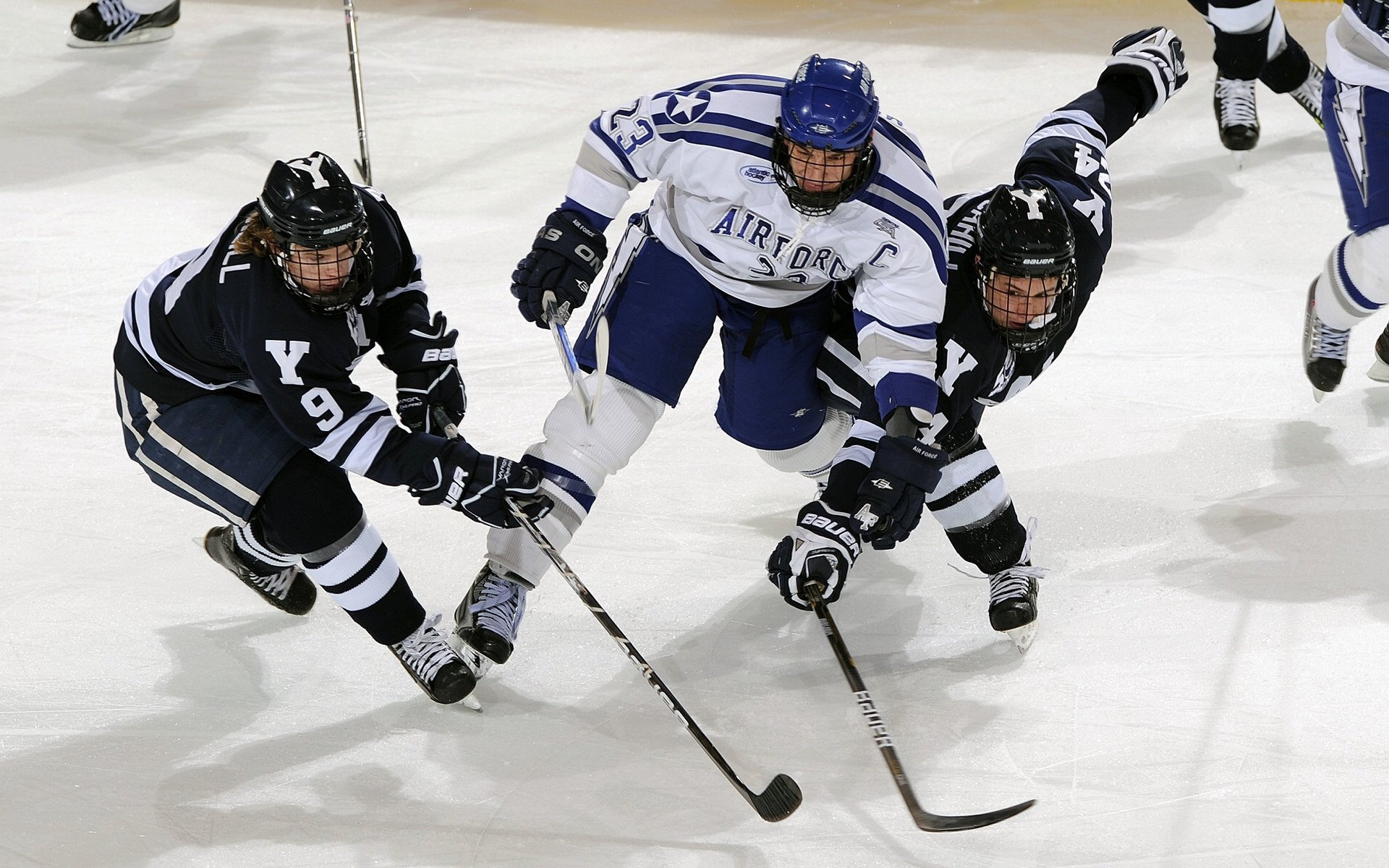 温网2024,阿尔卡拉斯逆转夺冠,斯瓦泰克首度封后