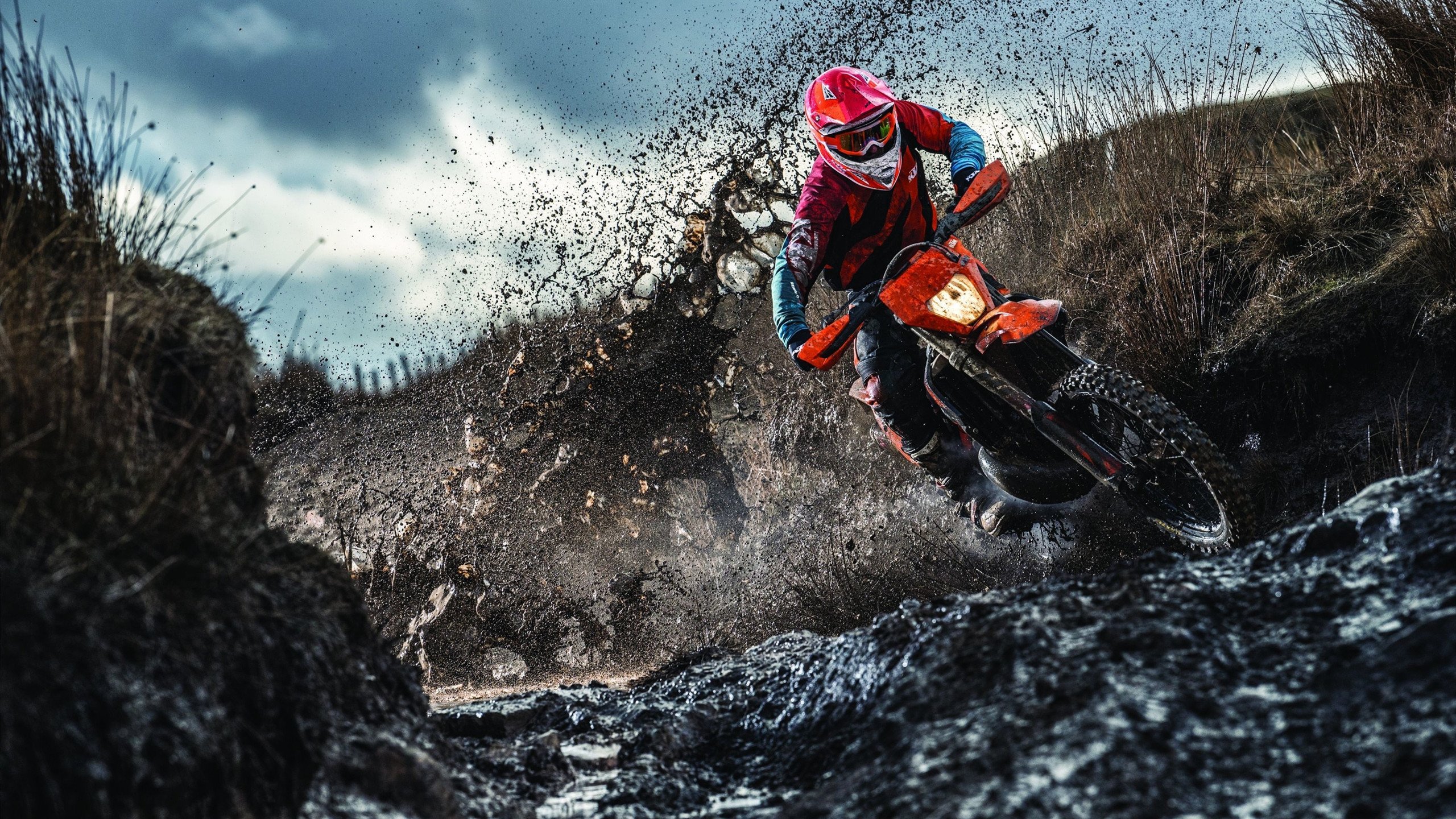 自由泳名将破纪录夺冠,中国游泳队再创辉煌